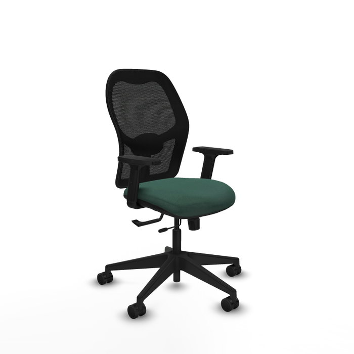 PIQUERAS Y CRESPO Chaise Alocén Synchrone Vert foncé et Noir PIQUERAS Y CRESPO Chaise Alocén Synchrone Vert foncé et Noir