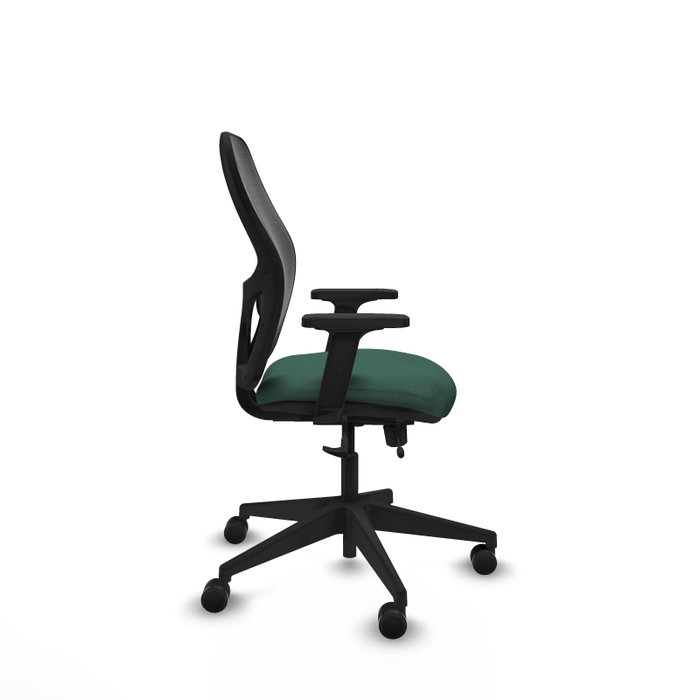 PIQUERAS Y CRESPO Chaise Alocén Synchrone Vert foncé et Noir PIQUERAS Y CRESPO Chaise Alocén Synchrone Vert foncé et Noir