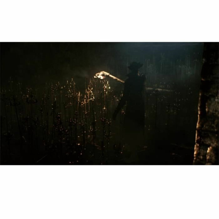 Sony Computer Entertainment Bloodborne PlayStation Hits PS4 Sony Computer Entertainment Bloodborne PlayStation Hits PS4