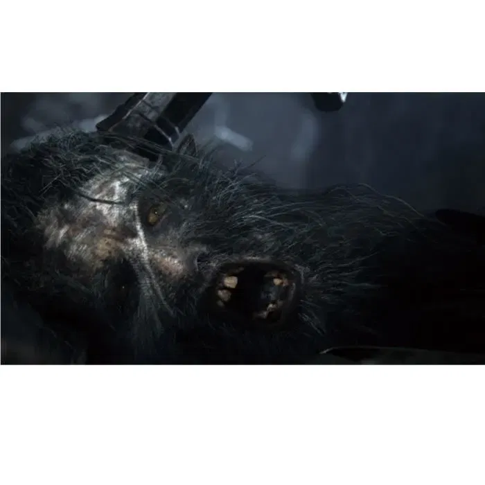 Sony PlayStation Hits Bloodborne Jeu PS4 Version Française - Action RPG, Horreur Lovecraftienne