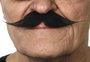 My Other Me Bigote noir - Moustache postiche adulte multilingue (français, espagnol, anglais...) - Taille unique - Multicolore