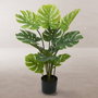 BigBuy Home Plante décorative Monstera 120 cm