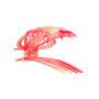 Invisibobble Clipstar L Pince à Cheveux Maxi Coral Hug – Pour Cheveux Épais et Longs, 1 pièce
