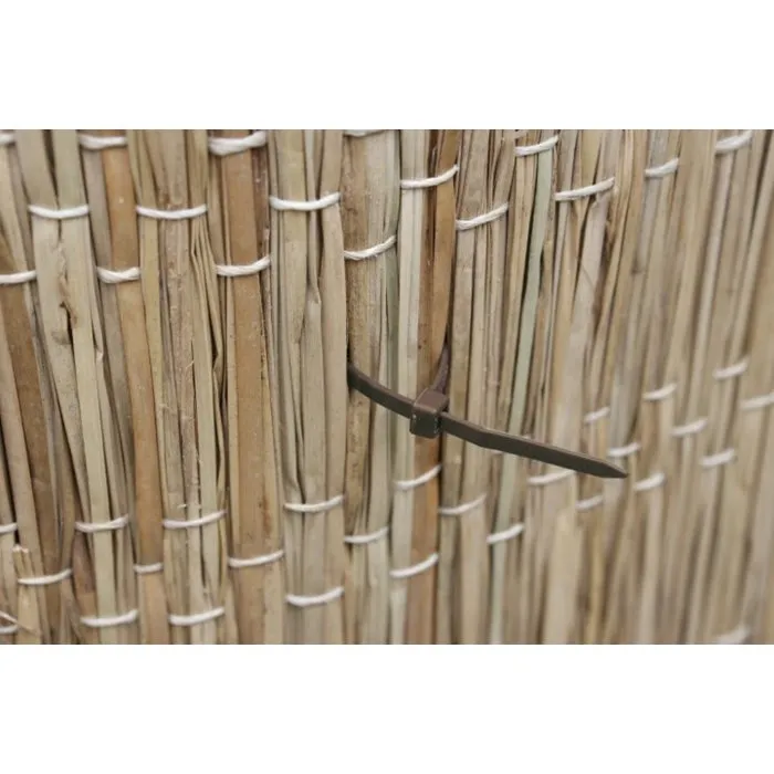 Nature - Collier de tuteurage permanente 15 cm anthracite - Lot de 25 - Pour plantes, arbres ou brise-vue