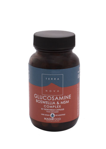 TERRANOVA Glucosamine, Boswellia et MSM complex 100vcap