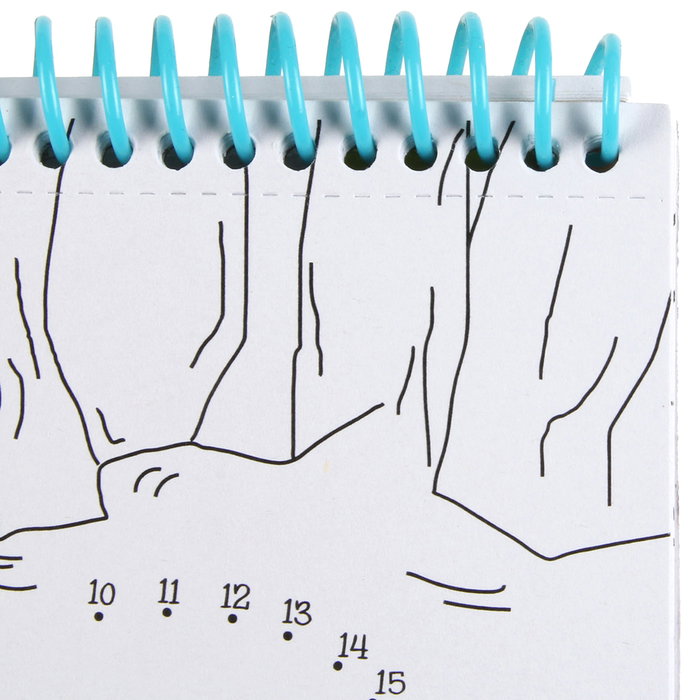 Jeux 2 momes Cahier de coloriage avec poignée - 13 animaux