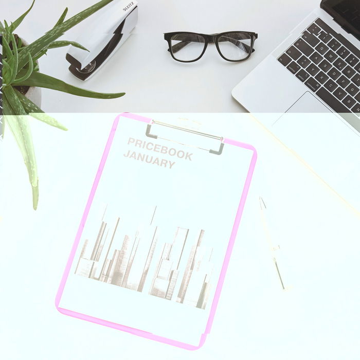 Dossier Leitz Rose A4