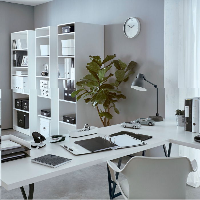 Dossier Leitz Rose A4