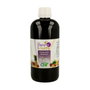 CFN Ferro Fruits Sirop 500 ml
