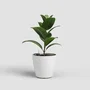 Artevasi San Remo SWS 30 MA - Pot de fleurs avec pieds pour intérieur et extérieur en plastique résistant aux UV - Ø30,5 x H27 cm, 14,5 L - Blanc