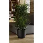 EDA Cache-pot Opale Noir - Pot de fleurs décoratif avec finition facettée - 29.5 x 27.1 cm - 14.8 L