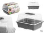 Ibergarden Mini-serre en plastique transparent et gris 1,4 L avec aération 21,5x12,8x17,4 cm (Set de 16)