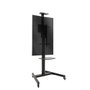 TooQ COMETA Support Mural pour Écran 37-70" Rotatif 90° avec Roues, VESA 200x200-600x400, Hauteur Réglable, Noir