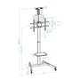 TooQ COMETA Support Mural pour Écran 37-70" Rotatif 90° avec Roues, VESA 200x200-600x400, Hauteur Réglable, Noir
