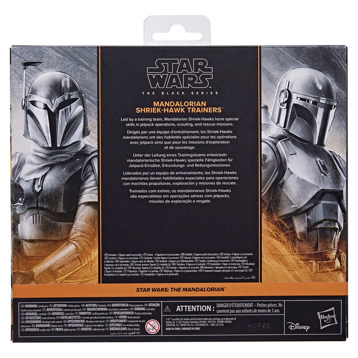 Hasbro Star Wars The Black Series Pack de 2 figurines Mandalorian et entraîneurs Shriek-Hawk 15 cm