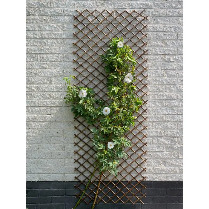 Nature Treillis de jardin 30x180 cm en saule naturel marron pour vignes et décoration - 446397