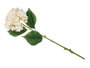 Ibergarden Rama Flores Blanche 62cm en Plastique Vert et Blanc (Set de 12)