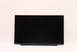 Lenovo DISPLAY AUO 15.6 FHD IPS AG 15,6 pouces Full HD