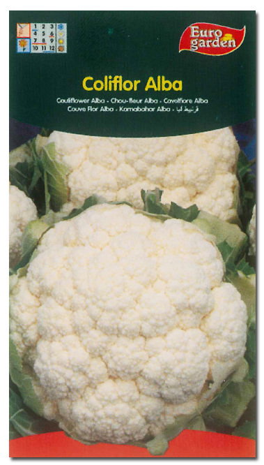 Semillas Fito Horticolas Coliflor Alba - Boîte de 10 Semillas Fito Horticolas Coliflor Alba - Boîte de 10