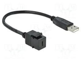 DELOCK Module USB Keystone USB A et USB C 2.0 Noir