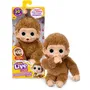 Little Live Pets - Peluche interactive bébé singe caramel, suce son pouce, rigole, réagit aux caresses, 20+ sons, s'accroche partout, piles incluses, dès 4 ans