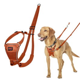 Harnais pour Chien Company of Animals BURNT Orange 12