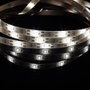 Home Deco Factory Ruban LED Blanc Chaud 3 m