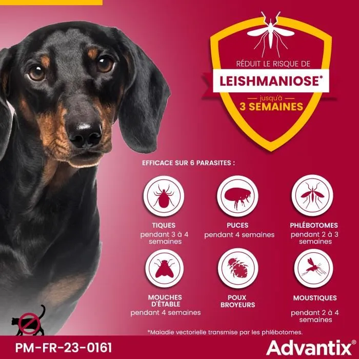 Advantix Solution Antiparasitaire pour Chien 4 Pipettes - Chiots et Petit Chien 1.5 à 4 kg - Anti Puces, Tiques, Moustiques, Phlébotomes
