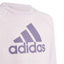 Survêtement Enfant Adidas IK3103 Rose