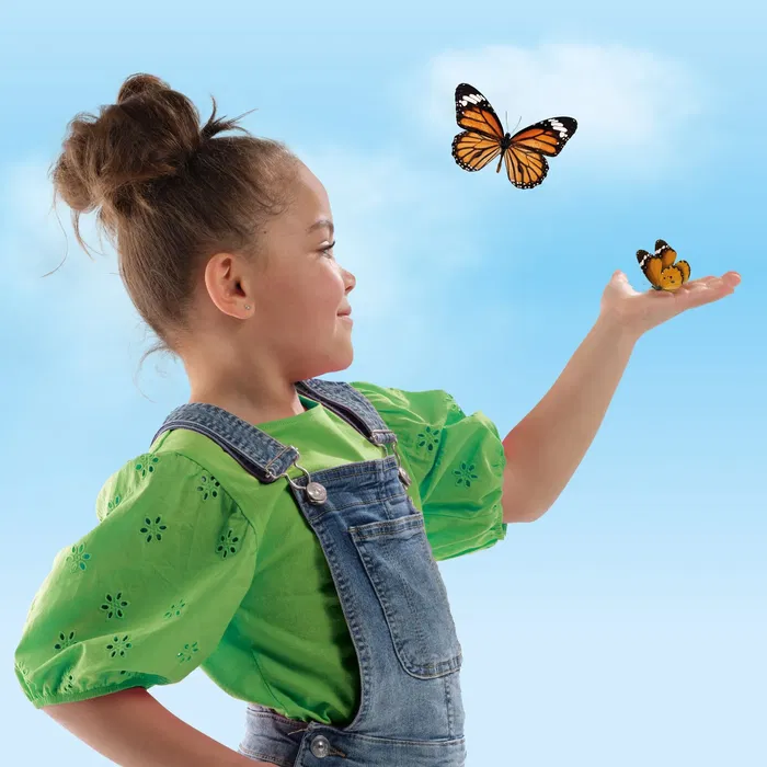 SES CREATIVE - Hôtel à papillons Explore - Kit d'activité nature éducatif en bois - Jouet STEM - Construction et décoration - Idée cadeau pour enfants 6 ans et plus