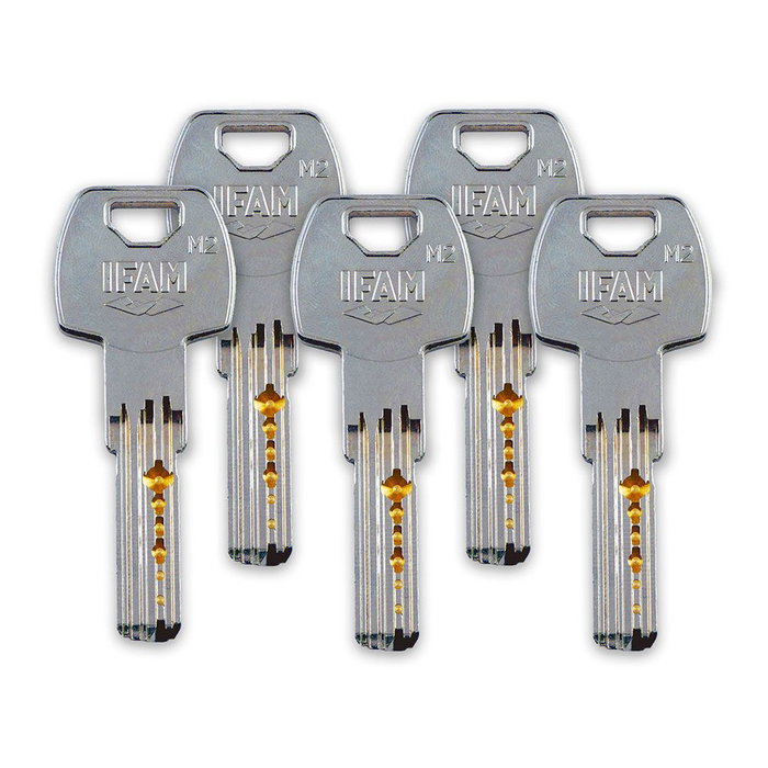 Ifam Verrou Cs88l M50 Cilindro Laiton 50 mm avec 5 Clés de Sécurité Acier