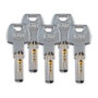 Ifam Verrou Cs88l M50 Cilindro Laiton 50 mm avec 5 Clés de Sécurité Acier