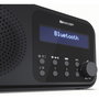 Sharp DR-P420(BK) Radio numérique portable Noir