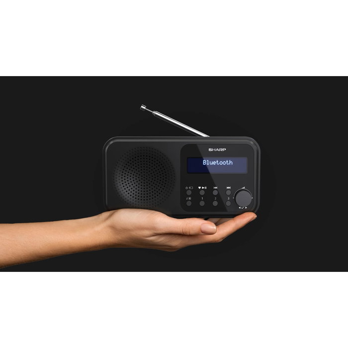 Sharp DR-P420(BK) Radio numérique portable Noir