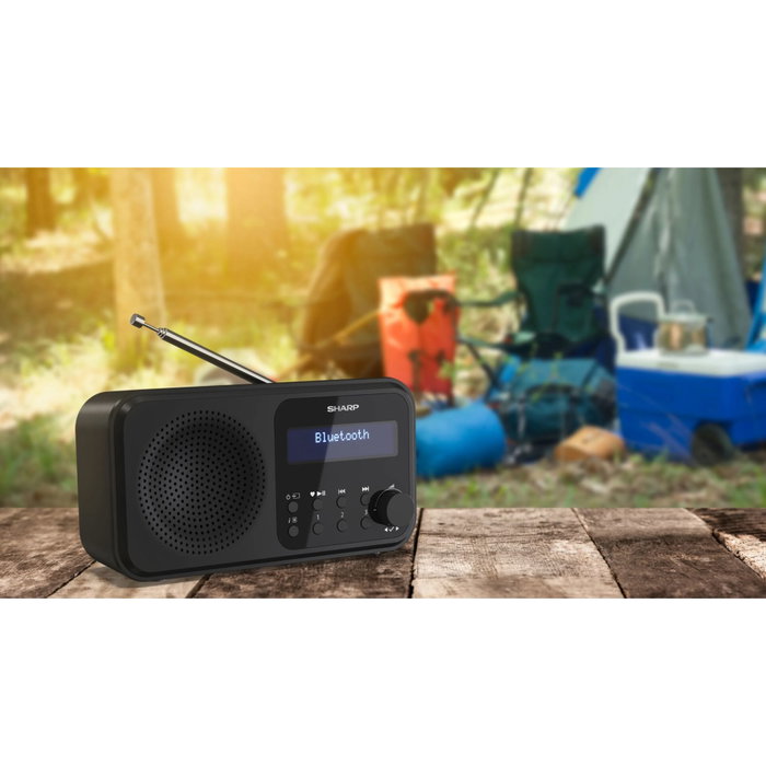 Sharp DR-P420(BK) Radio numérique portable Noir