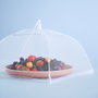 Day Campana Mosquitera 32x32 H.31