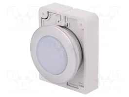 EATON ELECTRIC Lampe de contrôle RMQ-Titan blanche 30mm IP67