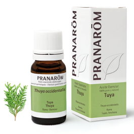 PRANAROM ACEITES Huile essentielle de Thuya occidentalis 10ml