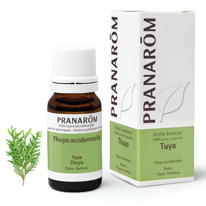 PRANAROM ACEITES Huile essentielle de Thuya occidentalis 10ml PRANAROM ACEITES Huile essentielle de Thuya occidentalis 10ml