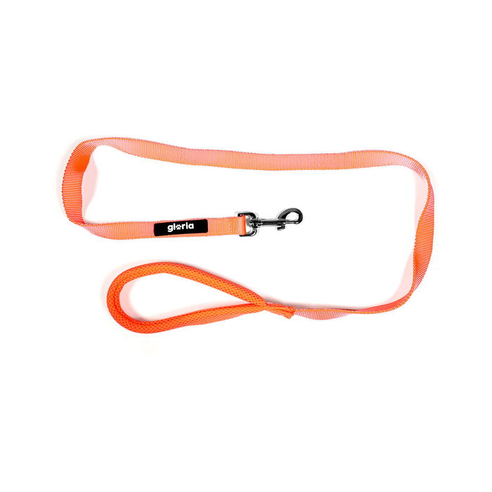 Laisse pour Chien Gloria Orange S