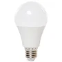 BX3 LIGHT BX3-LM7048-W - Ampoule LED E27 A60 15W 1250 Lumens Blanc Froid 4200K, 40000 heures, Équivalent à Incandescente