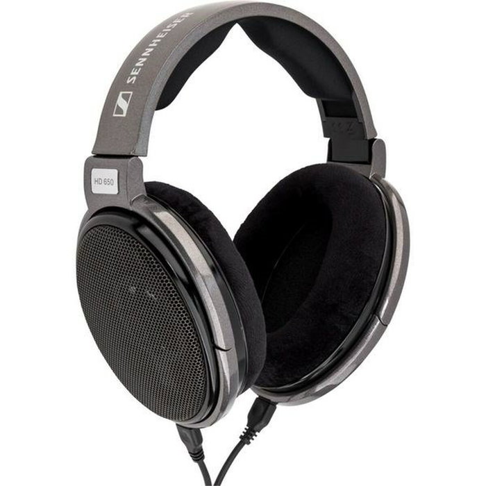 Casque audio Sennheiser HD 650 Titane