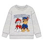 The Paw Patrol Sweat-shirt Enfant Gris, 4 ans