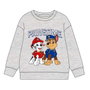 Cerdá Sweat coton brossé Pat' Patrouille 4 ans Gris