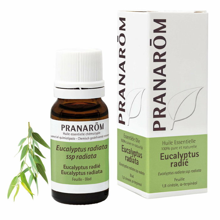 Pranarôm Huile Essentielle Eucalyptus radié 10 ml Pranarôm Huile Essentielle Eucalyptus radié 10 ml