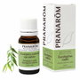 Pranarôm Huile Essentielle Eucalyptus radié 10 ml