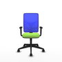 PIQUERAS Y CRESPO Chaise Motilla Synchro Vert pistache et Bleu