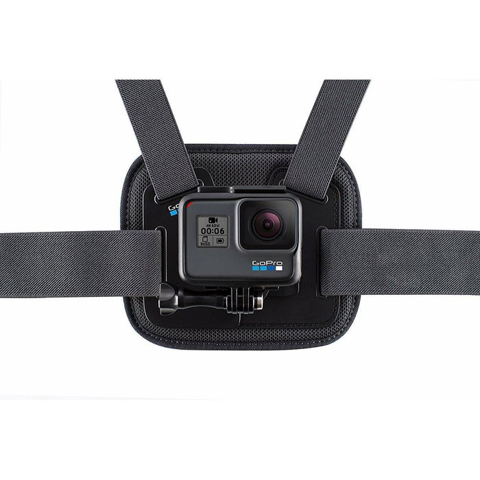 Camescope de surveillance GoPro AGTSM-001