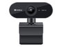 Sandberg Webcam USB Flex - Microphone intégré - Résolution Full HD 1080P - Installation sans pilote - Pour visioconférences et appels vidéo