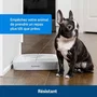 Petsafe Distributeur de nourriture pour animaux avec 2 repas